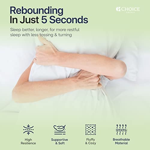 Authentic Choice Hotels’ Luminesse Hypoallergenic Green Label Luxury 2 pcs Soft Pillow, White, Standard (Pack of 2)