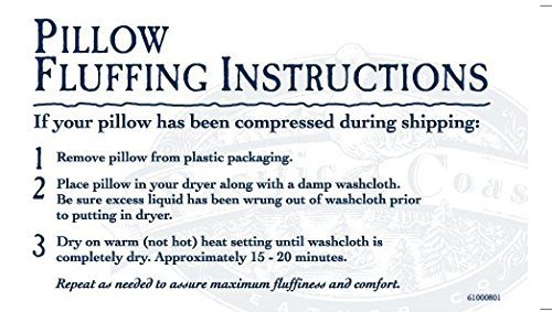 Pacific Coast Touch of Down Standard Pillow Set (2 Standard Pillows)