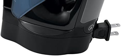 Sunbeam 4275-200 GreenSense SteamMaster Full Size Professional Iron with Retractable Cord and ClearView, Black