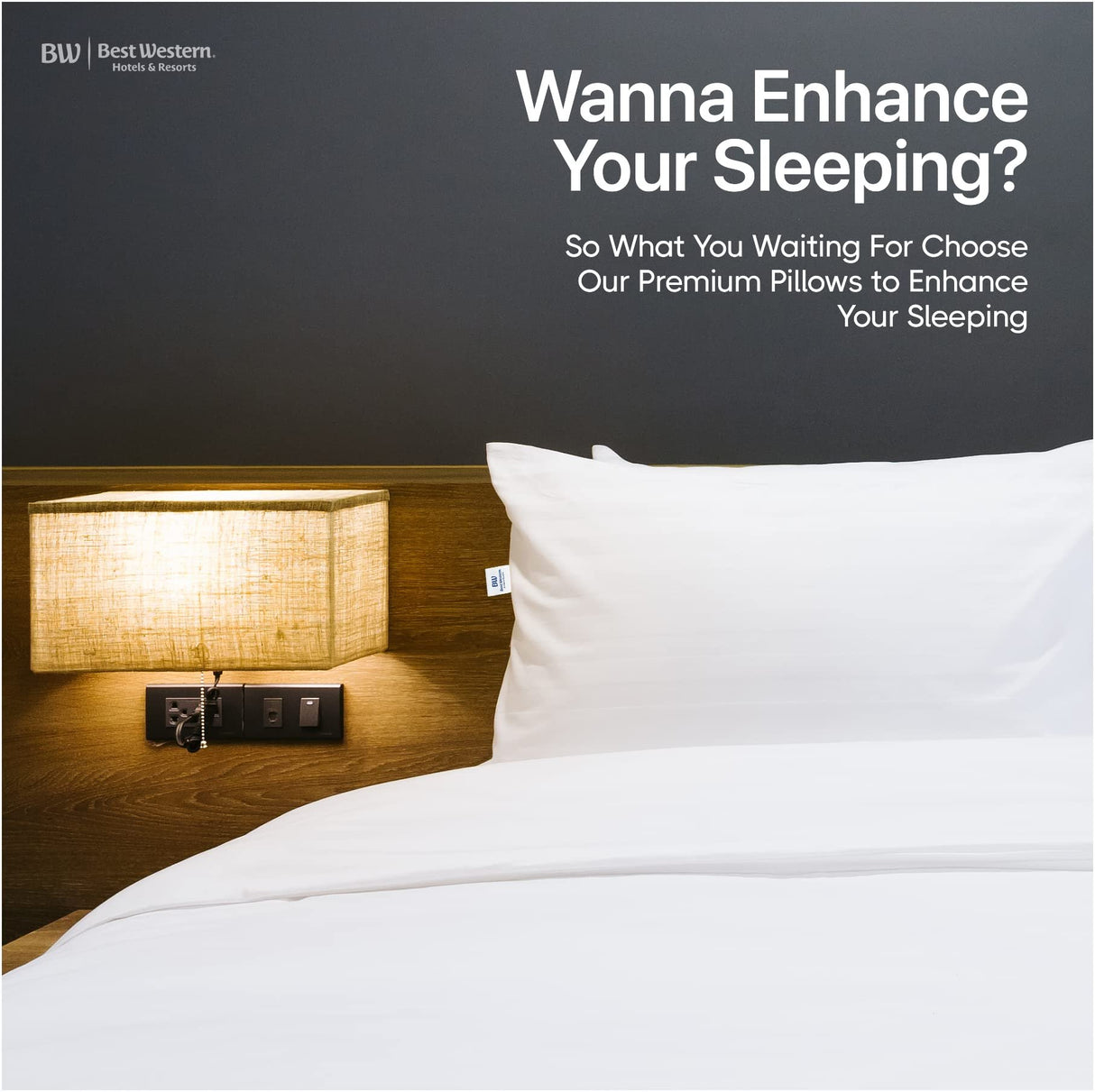 wynrest Best Western Victoria Pillow 20x30 Queen used in Best Western Hotels, Luxury Made in USA, T230 100% Cotton, Eco Adaptive Fiber Fill, Back or Stomach Sleepers, Hypoallergenic