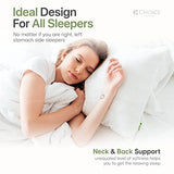 Authentic Choice Hotels’ Luminesse Hypoallergenic Green Label Luxury 2 pcs Soft Pillow, White, Standard (Pack of 2)