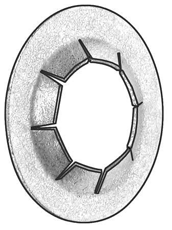 Value Brand, 4HFX1, Push Nut, Stud Retention, Stl, 3/8 In, PK50