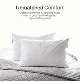 Authentic Choice Hotels’ Luminesse Hypoallergenic Green Label Luxury 2 pcs Soft Pillow, White, Standard (Pack of 2)